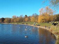Hamstead Ponds, The Heath